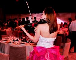 Modern Violin Performances